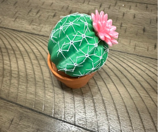 Cactus shaker