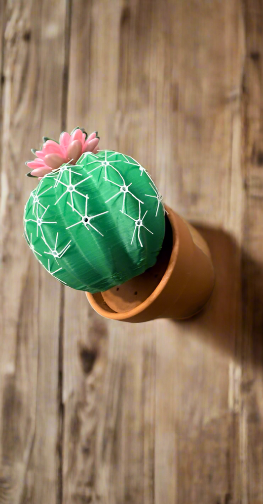 Cactus shaker