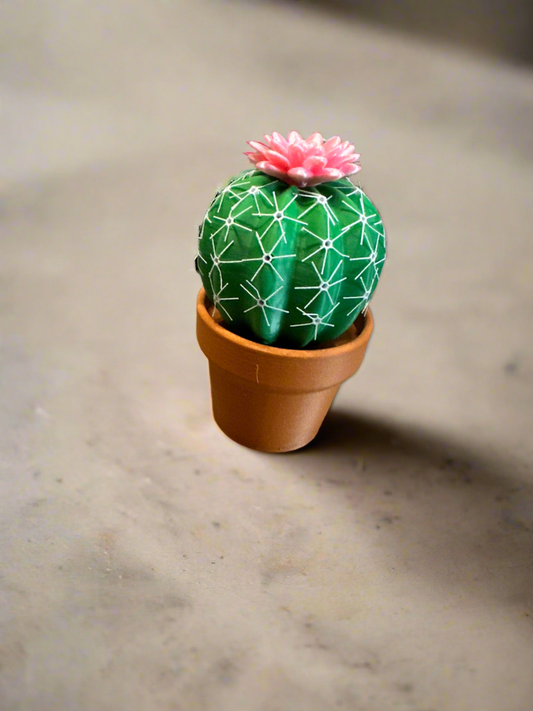 Cactus shaker