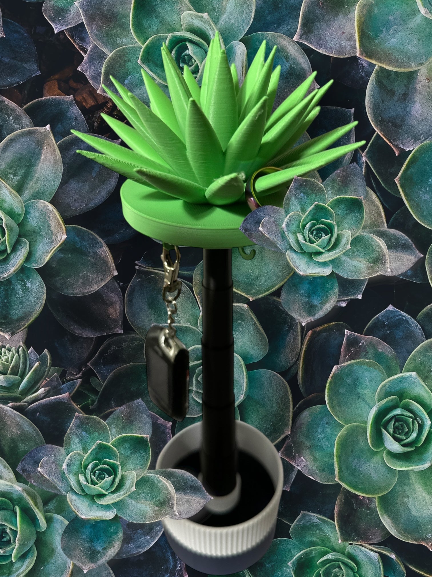 JewelNest