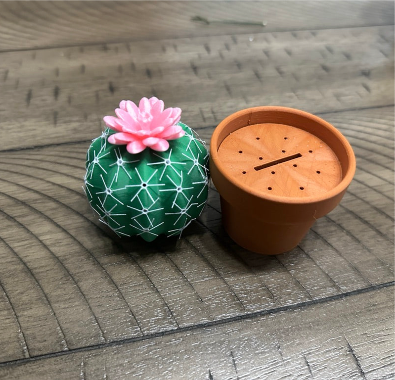 Cactus shaker