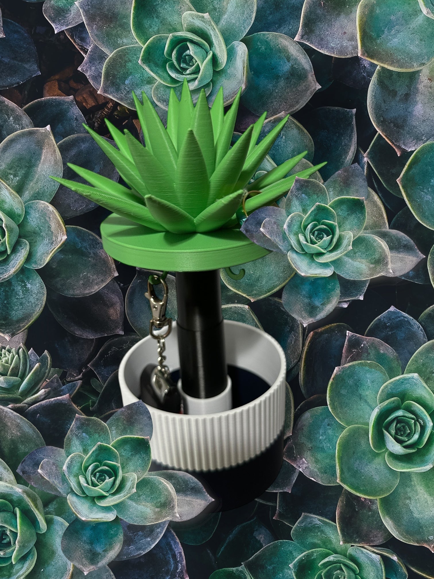 JewelNest
