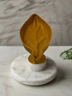 Leaf shape Soap Holder